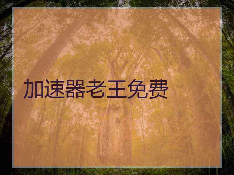 加速器老王免费
