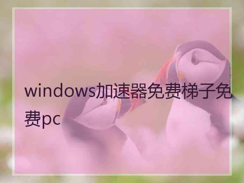 windows加速器免费梯子免费pc