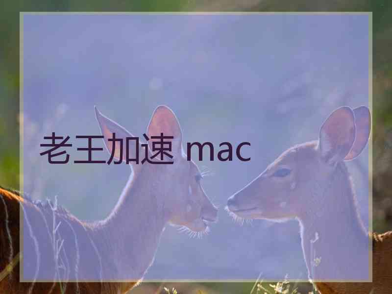 老王加速 mac