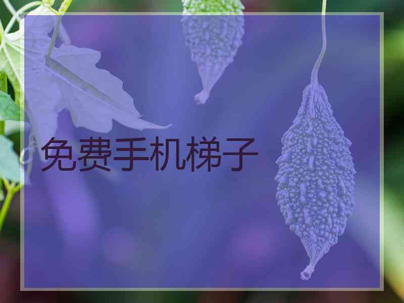 免费手机梯子