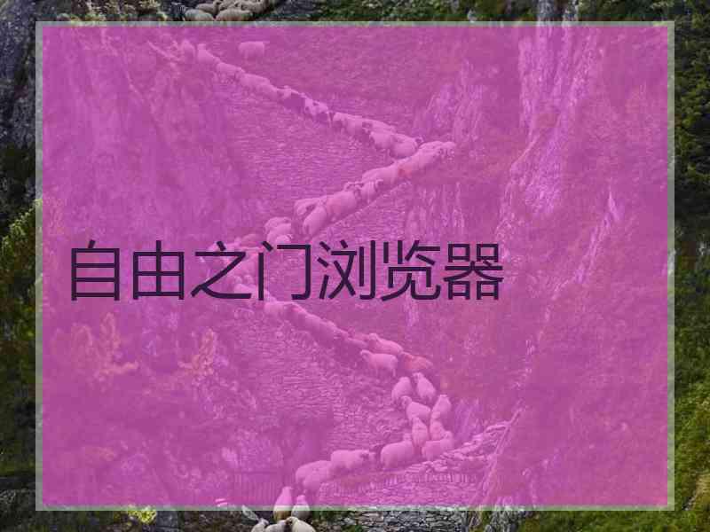 自由之门浏览器