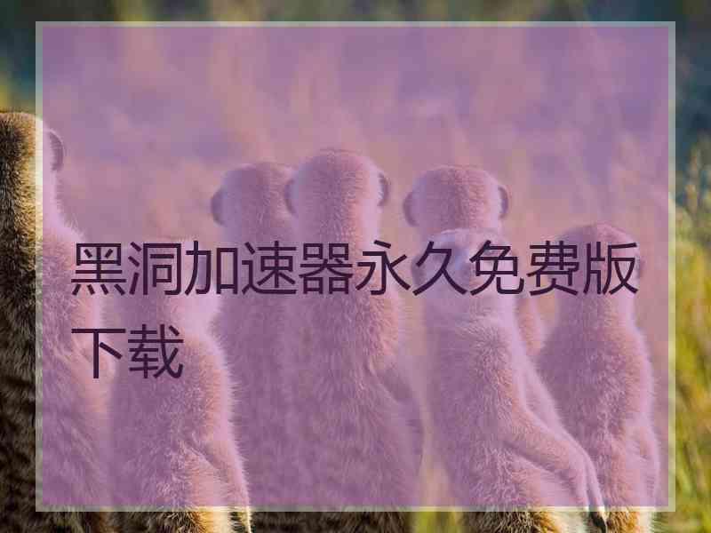 黑洞加速器永久免费版下载