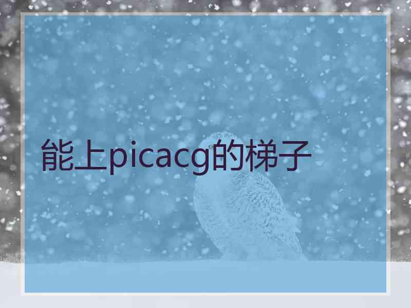 能上picacg的梯子