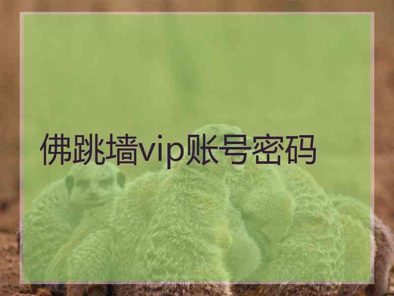 佛跳墙vip账号密码