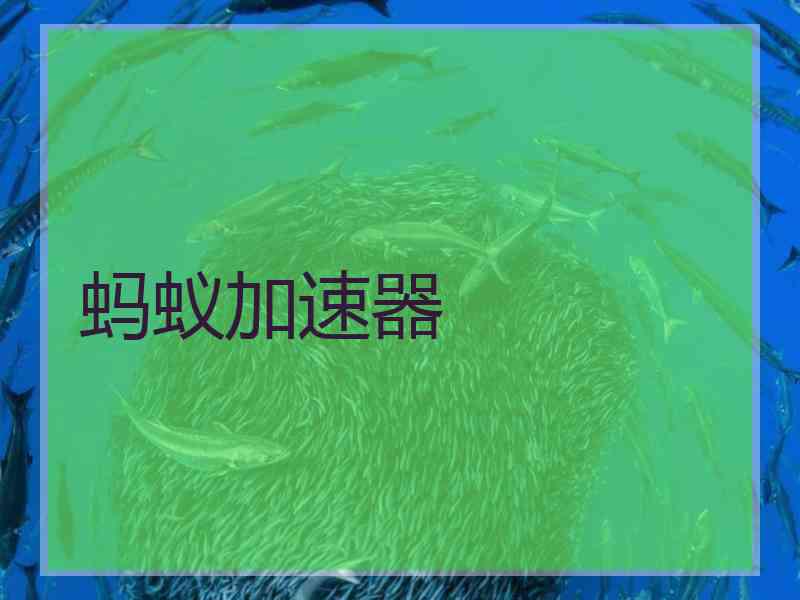 蚂蚁加速器