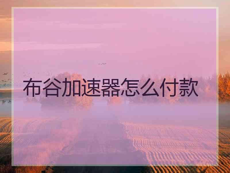 布谷加速器怎么付款