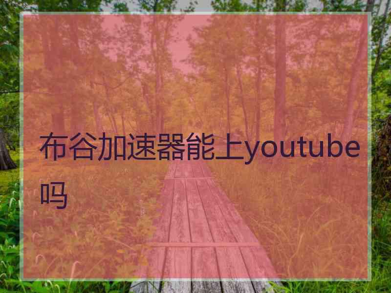 布谷加速器能上youtube吗