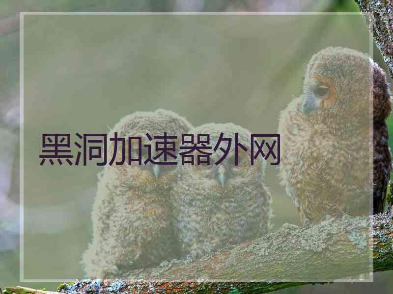 黑洞加速器外网