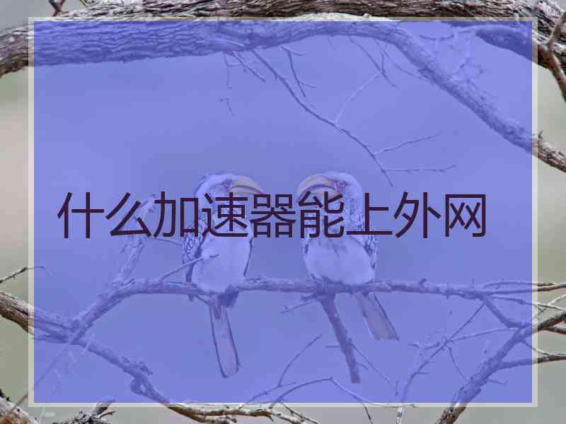 什么加速器能上外网