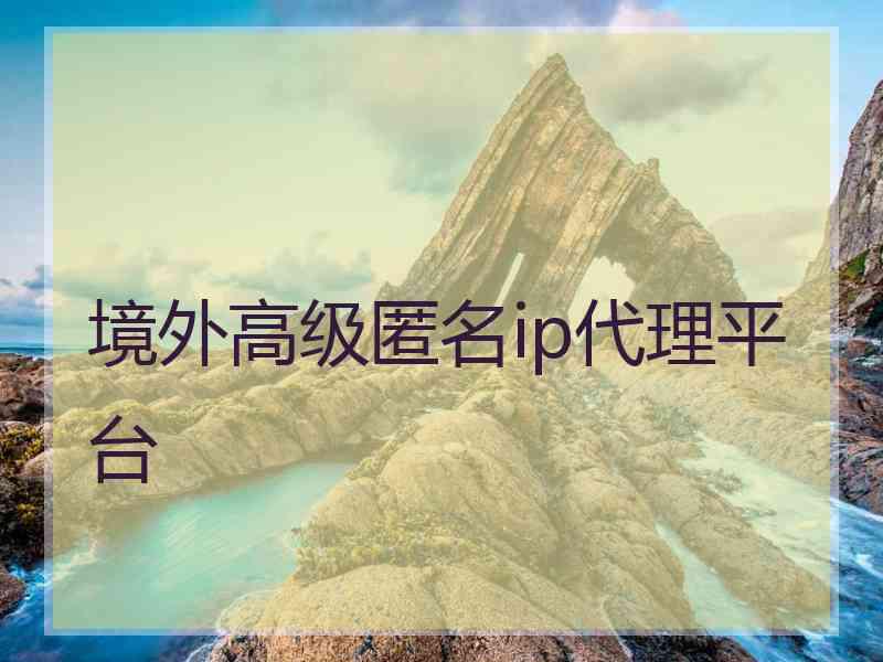 境外高级匿名ip代理平台