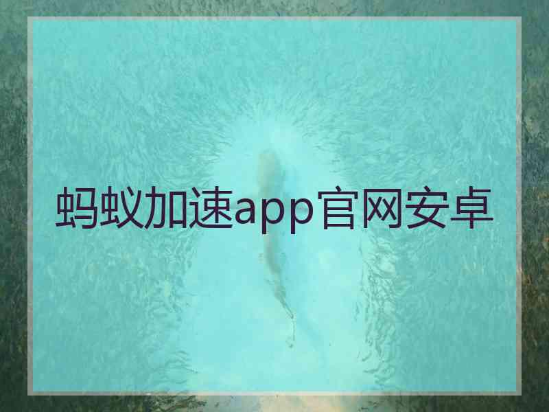 蚂蚁加速app官网安卓