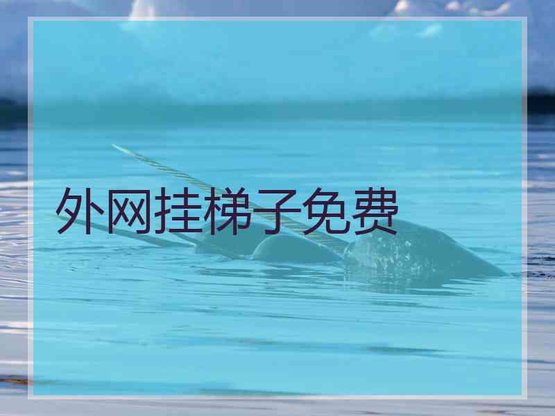 外网挂梯子免费