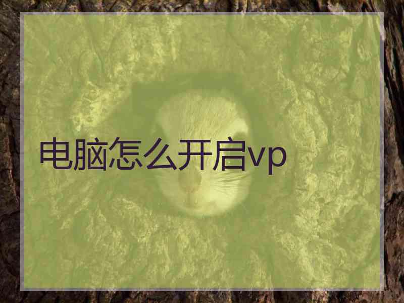 电脑怎么开启vp