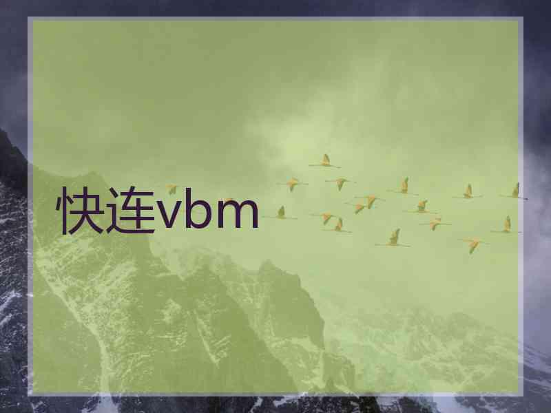 快连vbm