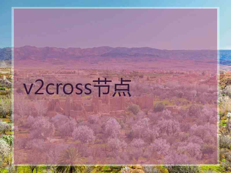 v2cross节点