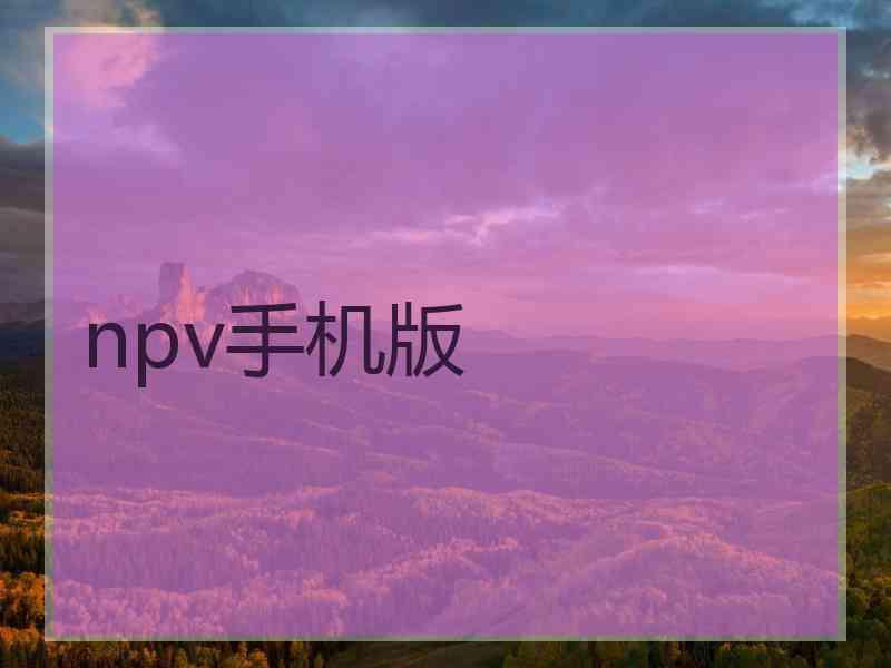npv手机版
