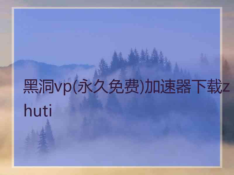 黑洞vp(永久免费)加速器下载zhuti
