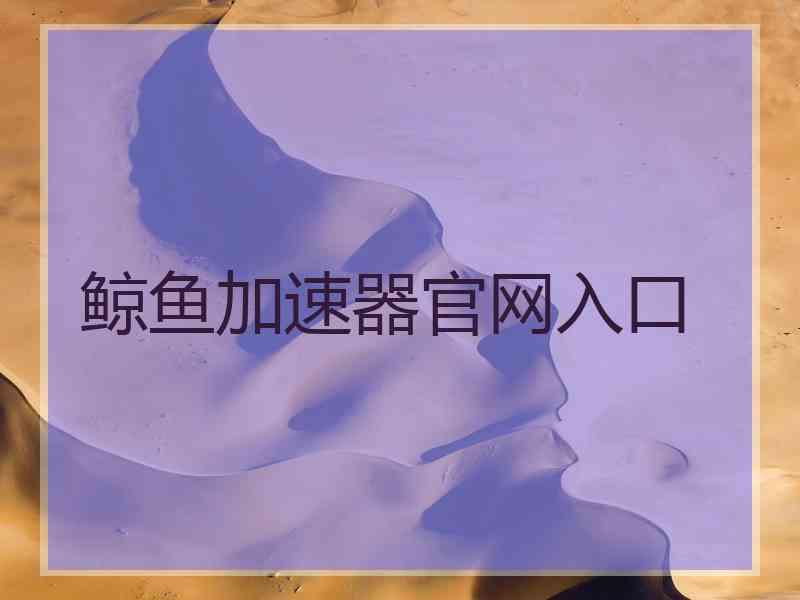 鲸鱼加速器官网入口