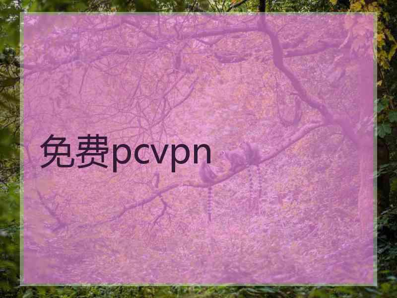 免费pcvpn