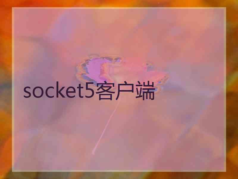 socket5客户端