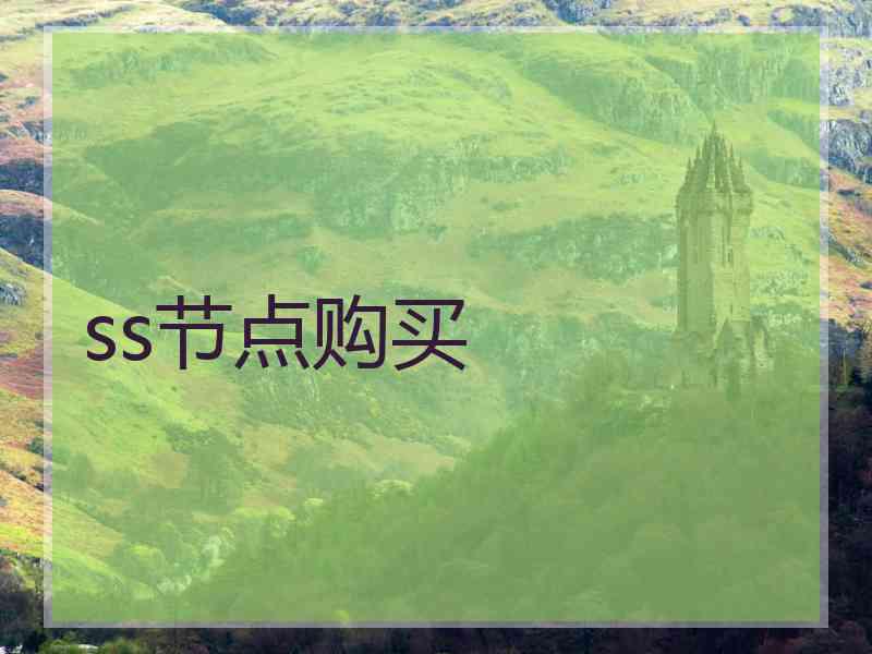ss节点购买