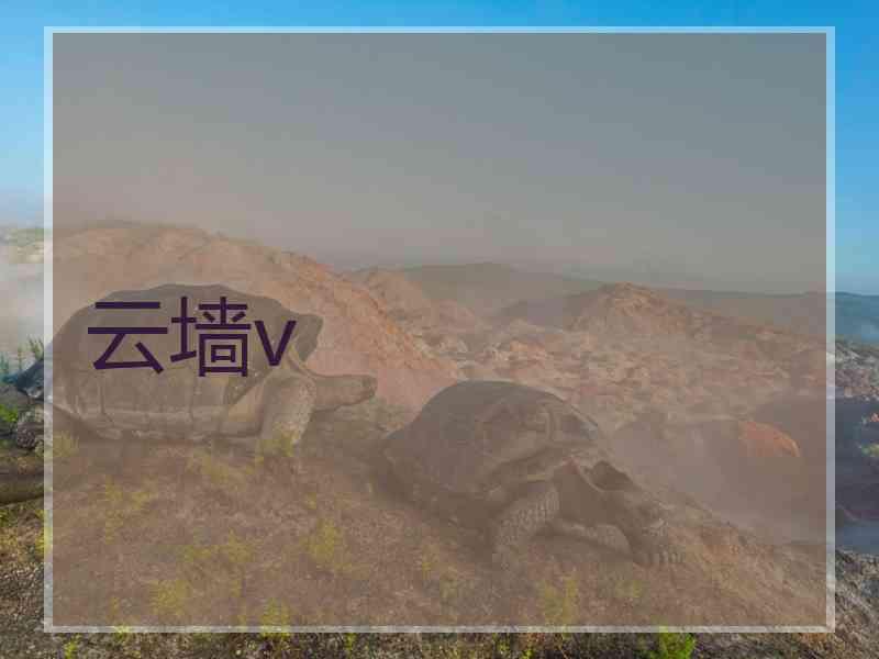 云墙v