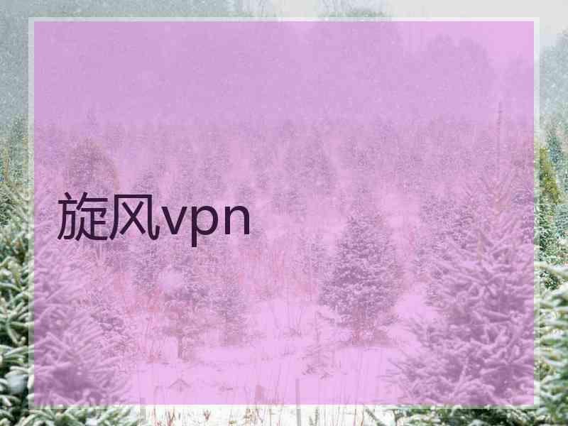 旋风vpn