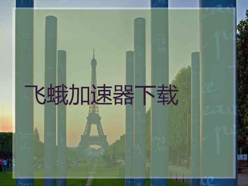 飞蛾加速器下载