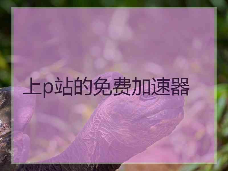 上p站的免费加速器