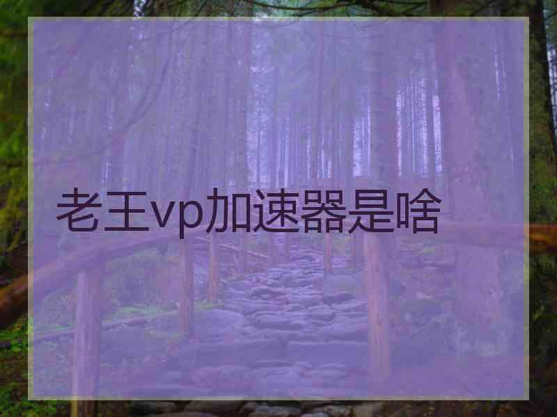 老王vp加速器是啥