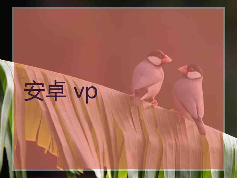 安卓 vp