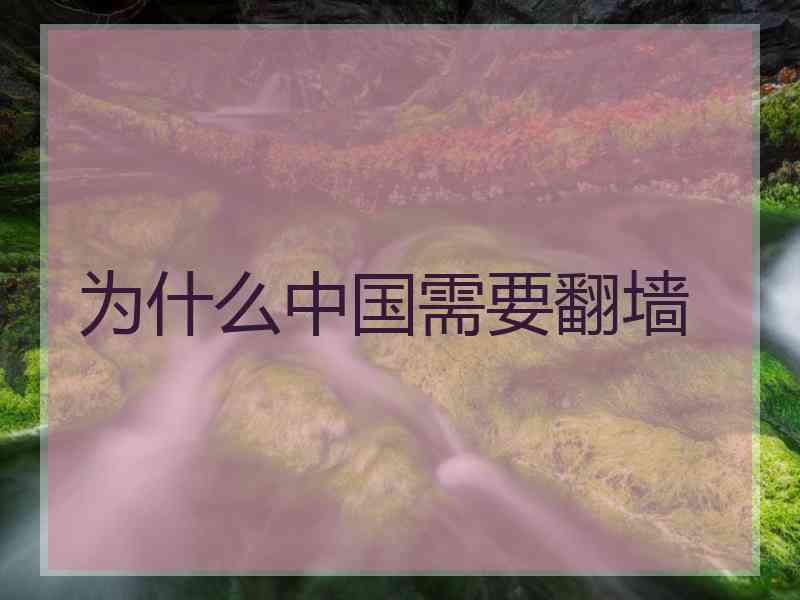 为什么中国需要翻墙