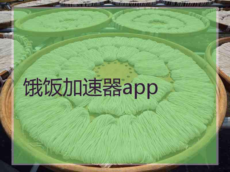 饿饭加速器app