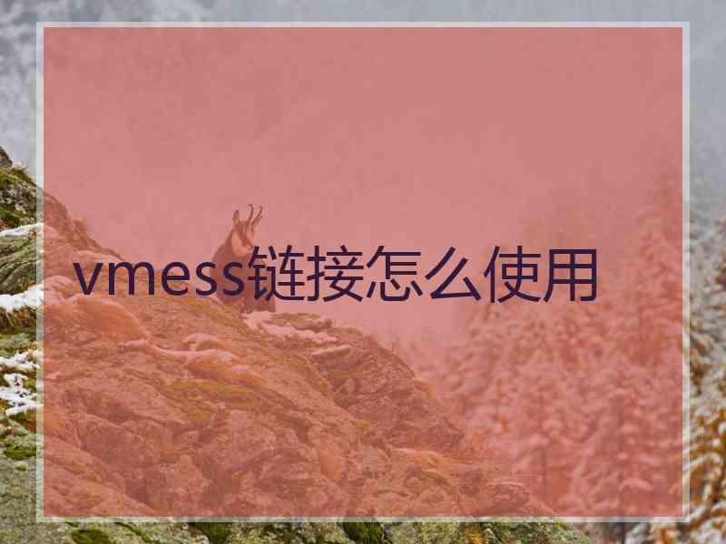 vmess链接怎么使用