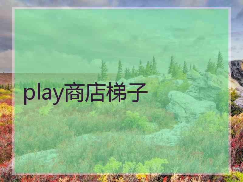 play商店梯子