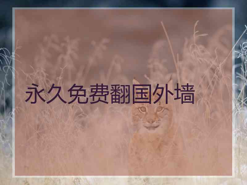 永久免费翻国外墙