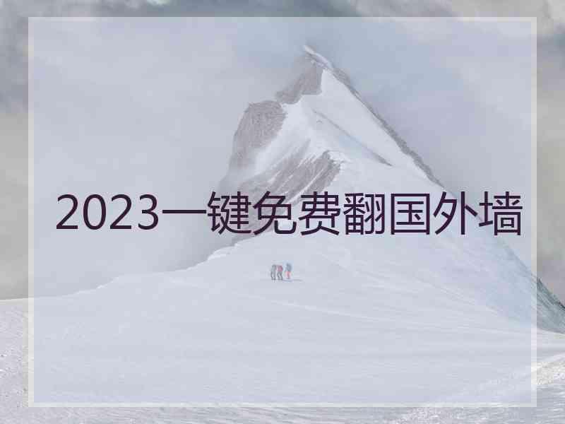 2023一键免费翻国外墙