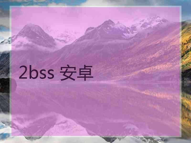 2bss 安卓