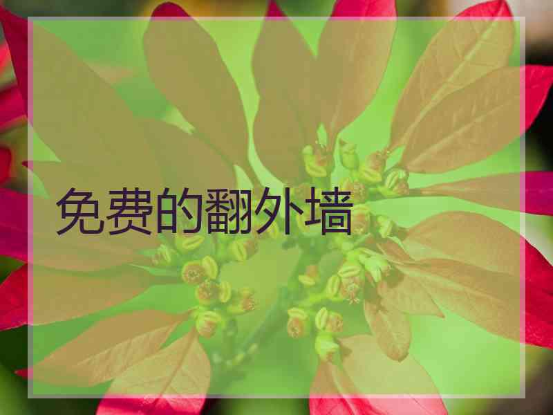 免费的翻外墙