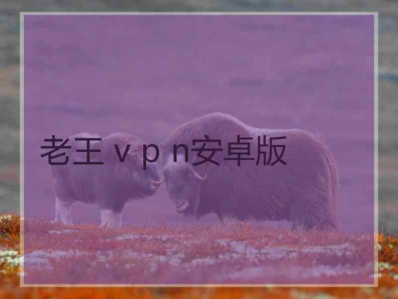 老王 v p n安卓版