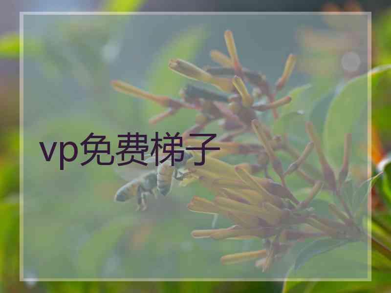 vp免费梯子