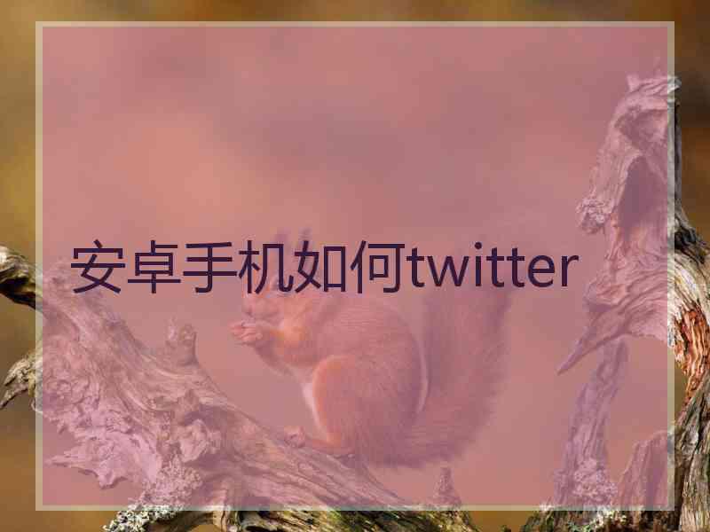 安卓手机如何twitter