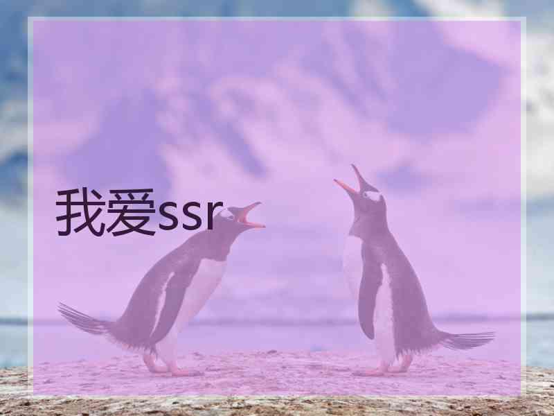 我爱ssr