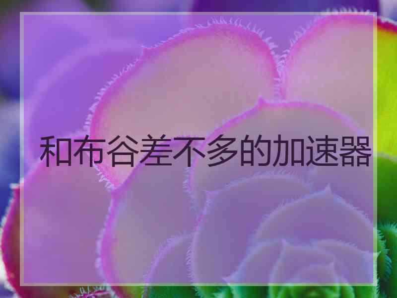 和布谷差不多的加速器