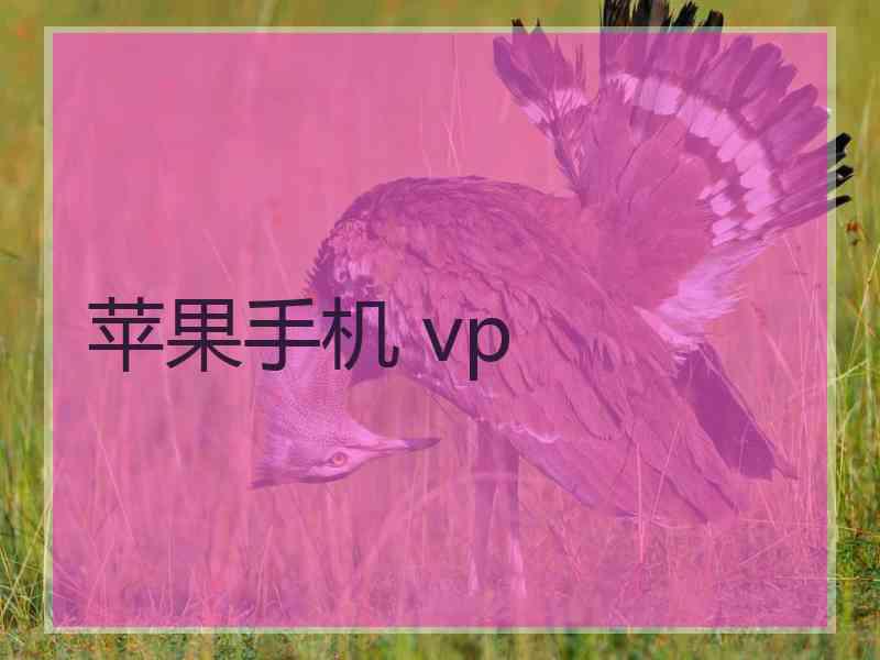 苹果手机 vp
