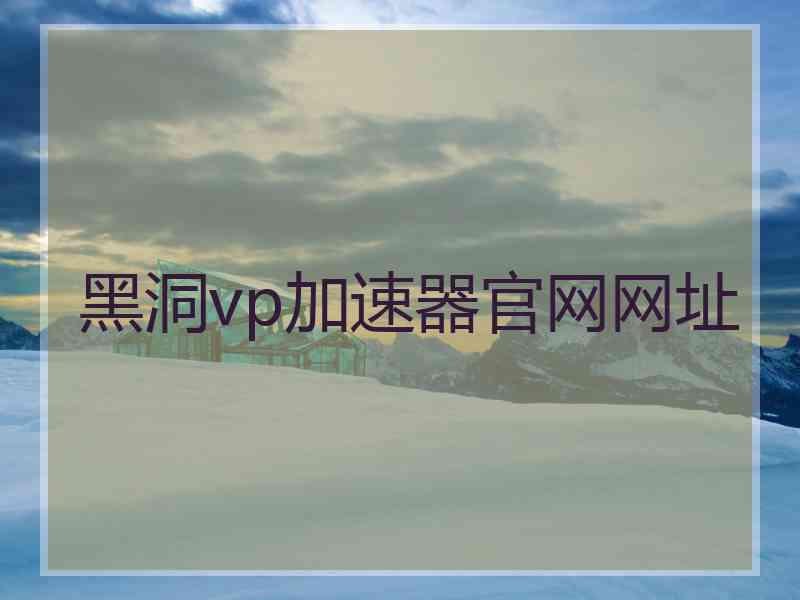 黑洞vp加速器官网网址