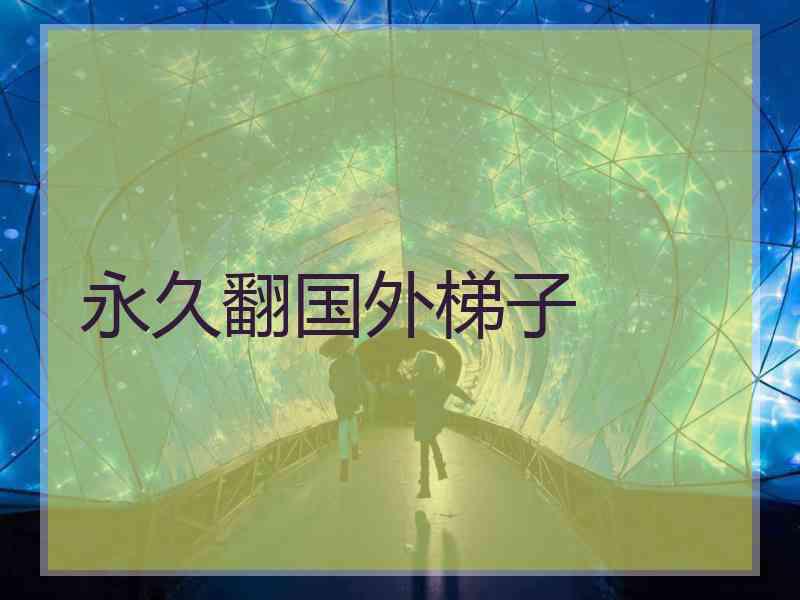 永久翻国外梯子