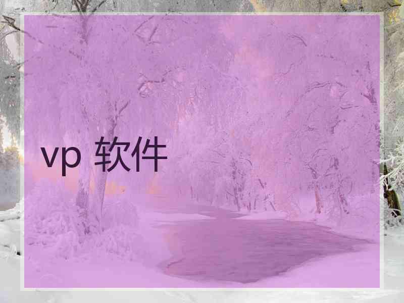 vp 软件