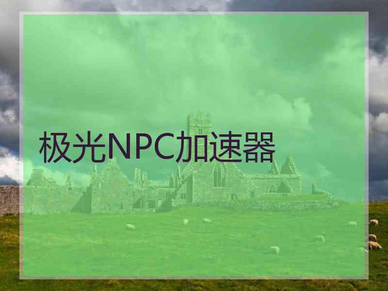 极光NPC加速器