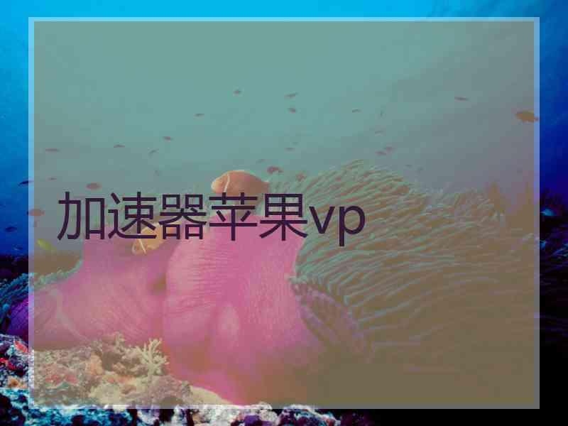 加速器苹果vp